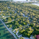 listing image thumbnail with ID 36450